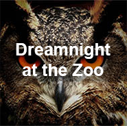 Dreamnight at the Zoo link