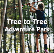 Tree to Tree Adventure Park link